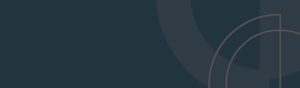 Bannière Portage CyberTech