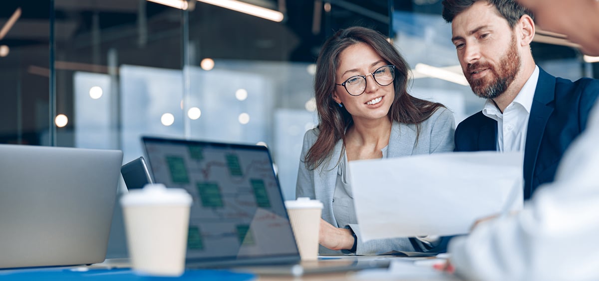 Ingénieurs oeuvrant en firme professionnelle