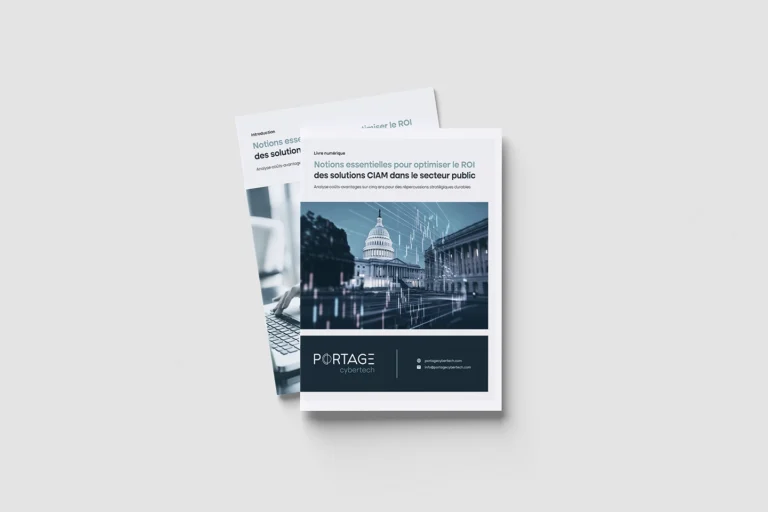 Livre numérique CIAM : Notions essentielles pour optimiser le ROI - Thumbnail