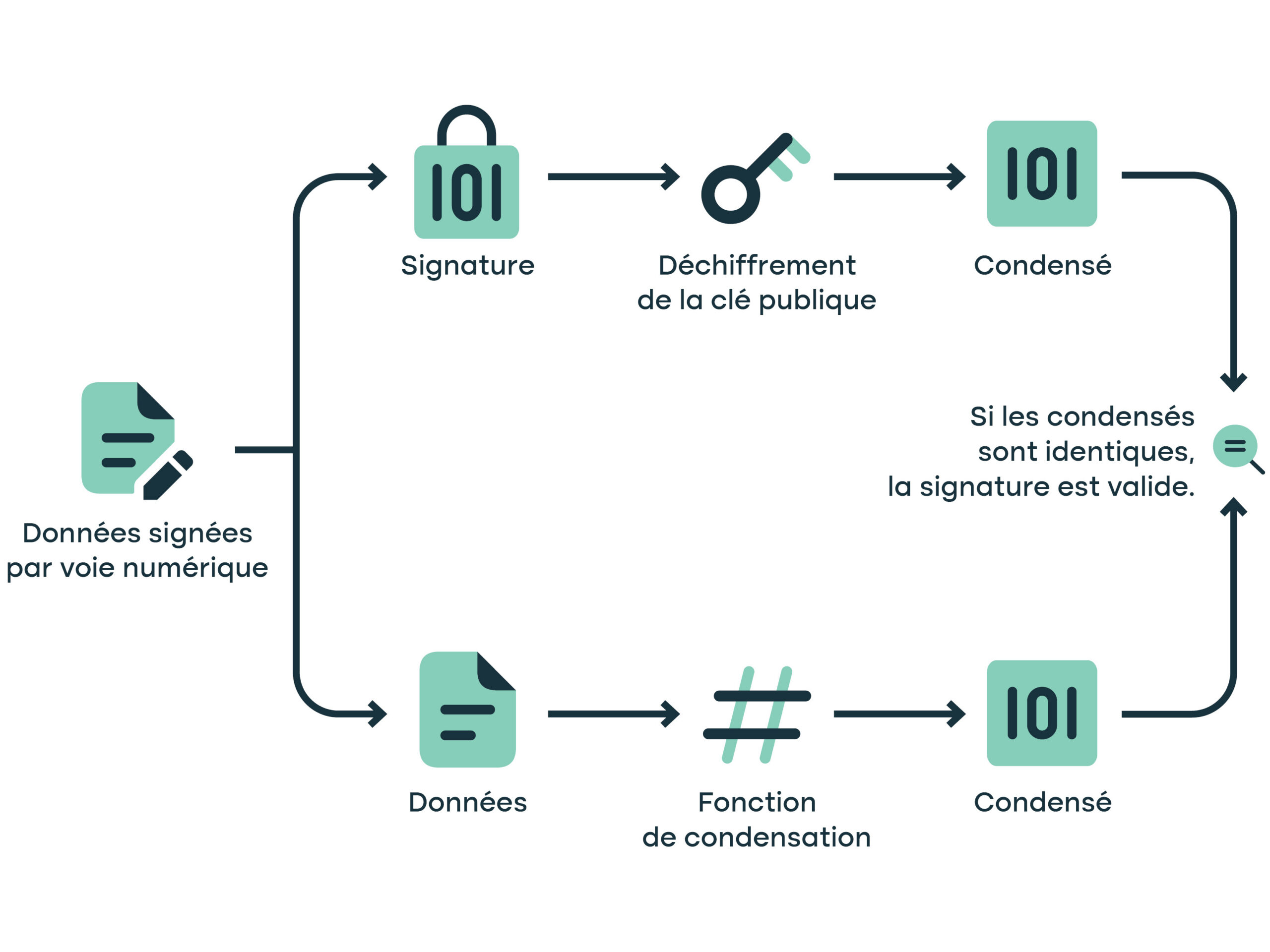 Portage clé publique signature 101