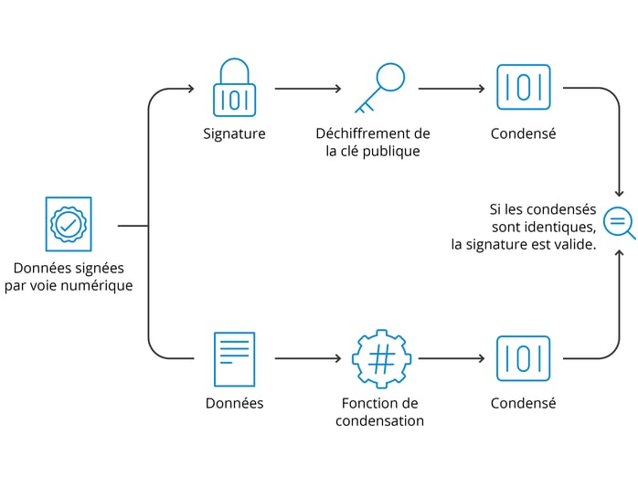 Signature 101 clé publique
